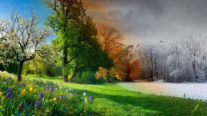 four seasons image of four seasons, spring, summer, autumn, and winter.