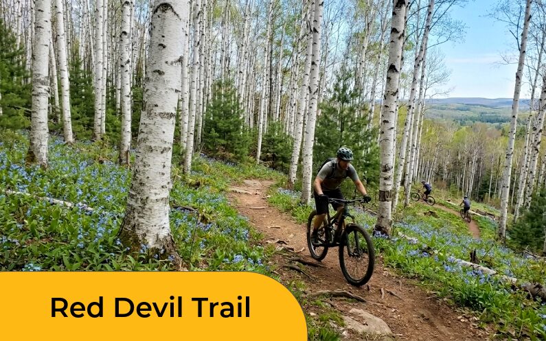Red Devil Trail Mountain Biking.